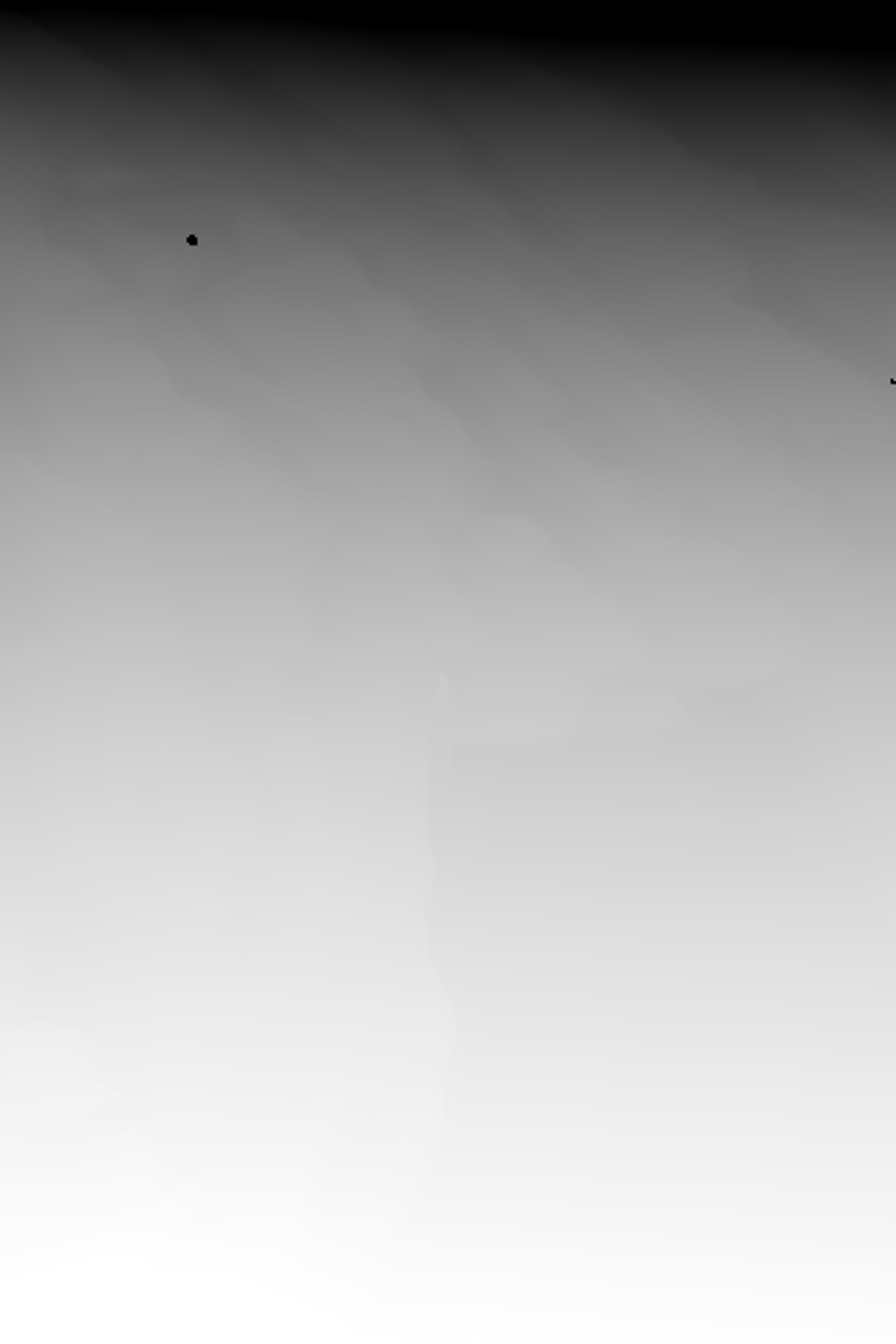 Depth map of the picture