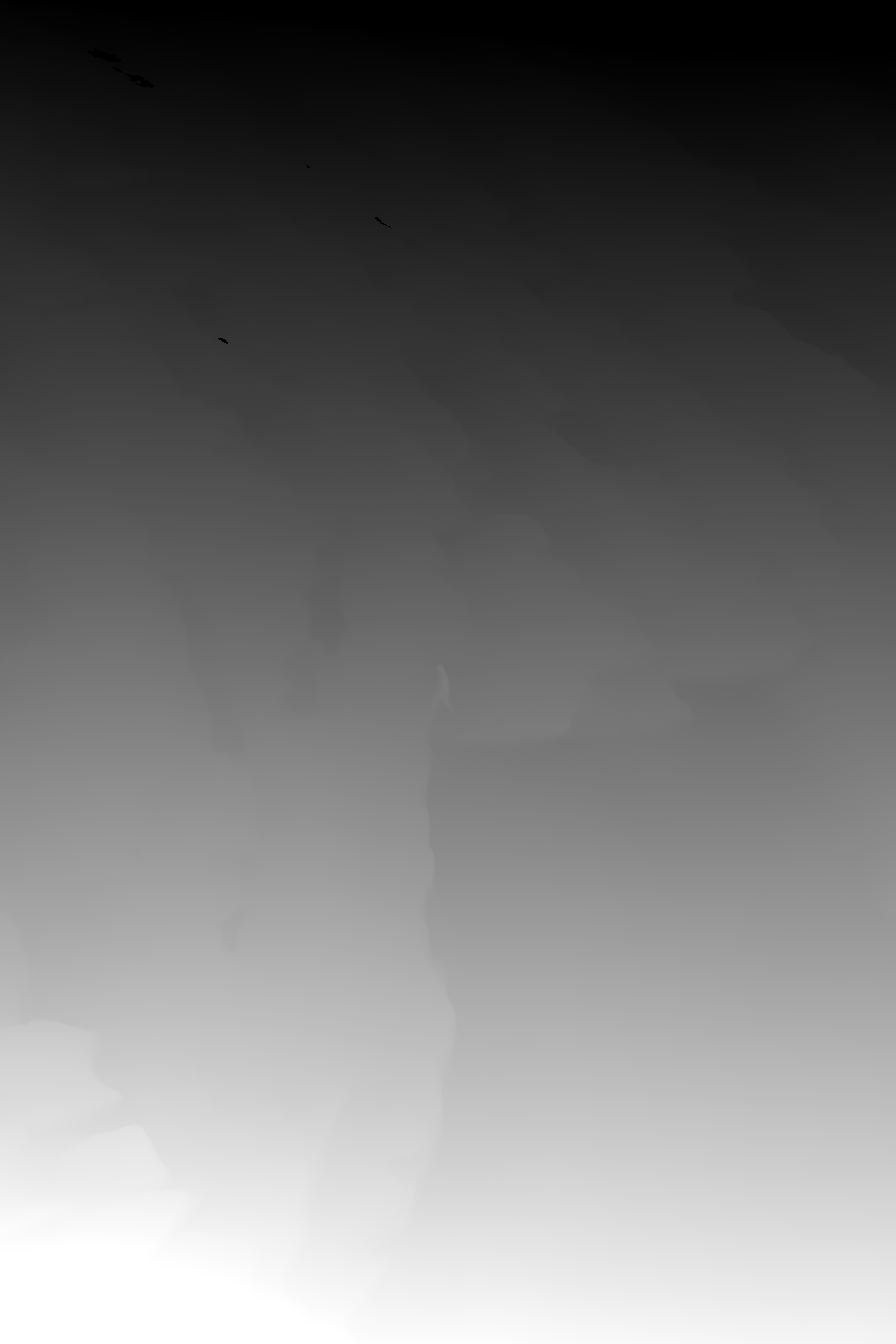 Depth map of the picture